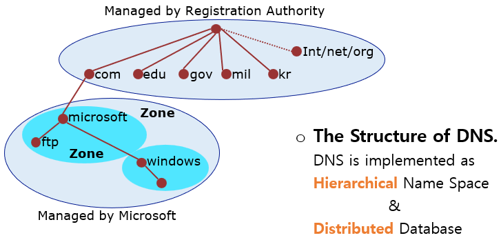 DNS Structure