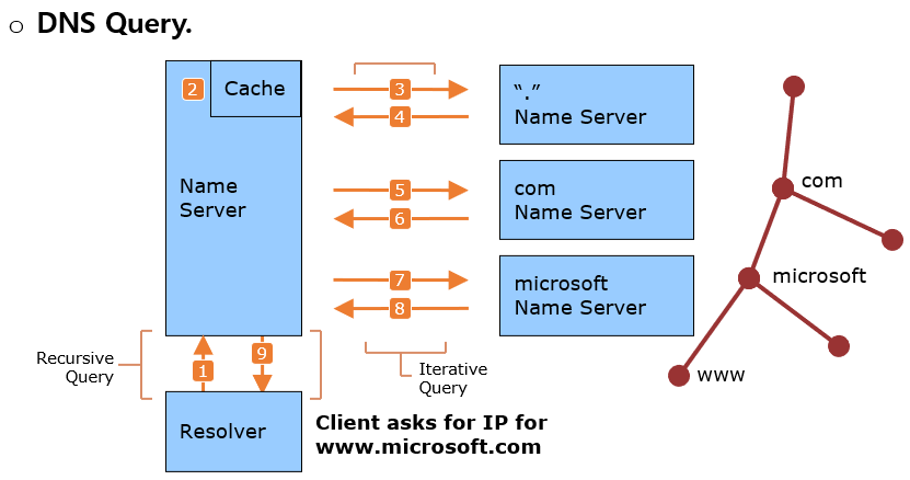 DNS Query